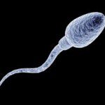 sperm health 150x150 The Treatment of 248 Cases of Male Infertility with Acupuncture