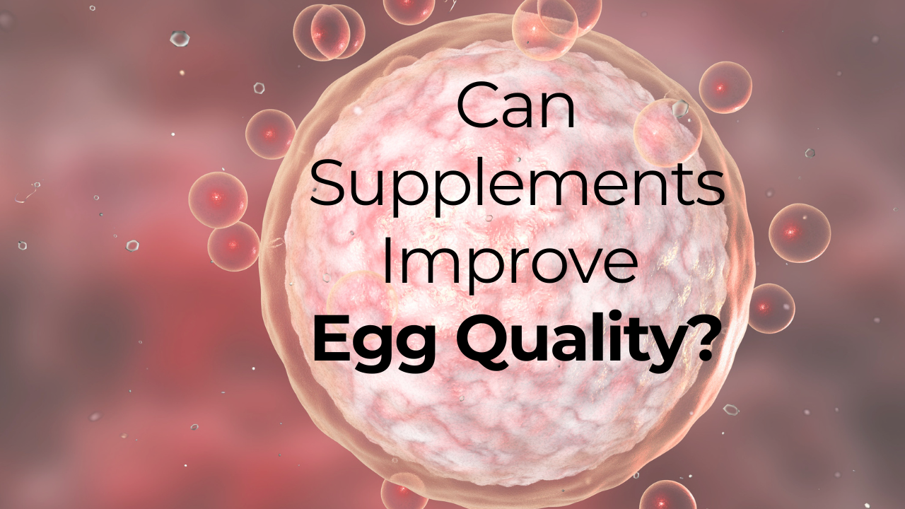 egg quality supplements image (1) egg quality supplements
