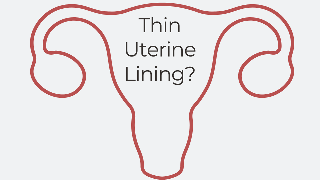 _thin lining image Thin uterine lining