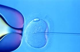 IUI, IVF and FET Support