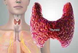 Thyroid Health and TCM